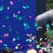 2001 - Eventos
